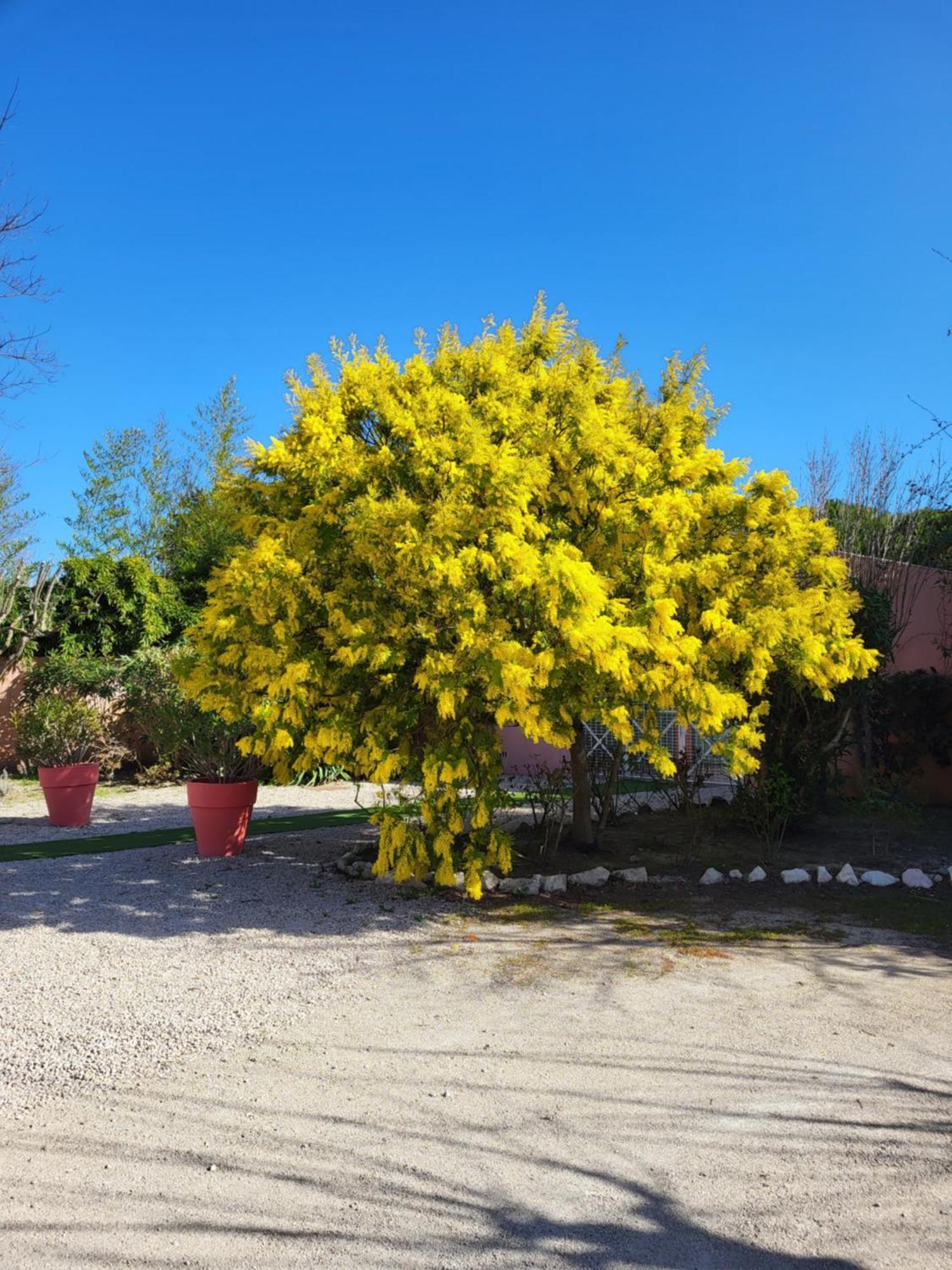 Logis Hotel La Ferme Awinion Zewnętrze zdjęcie